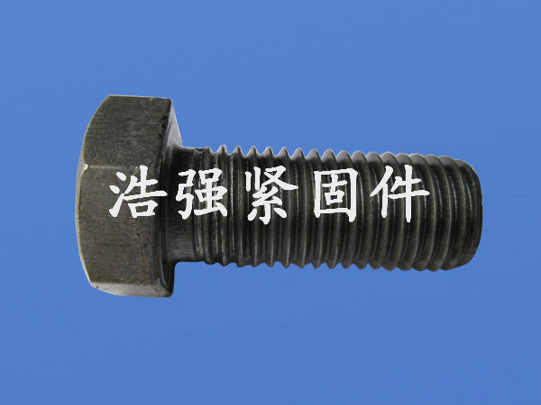 ������˨